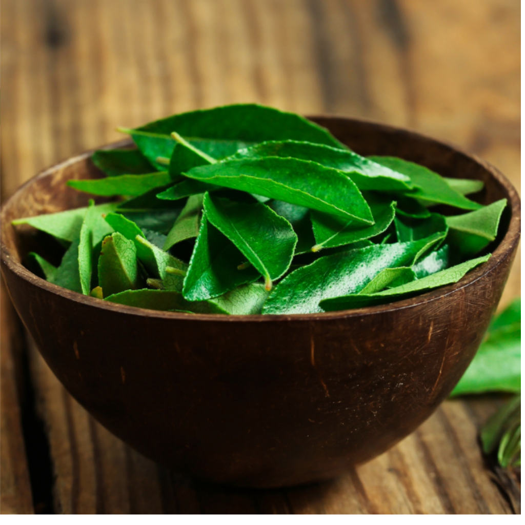 Curry Leaf Powder Image