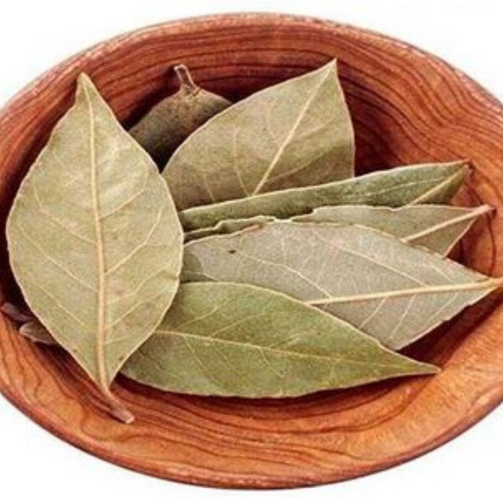 Fresh Tejpat Leaves